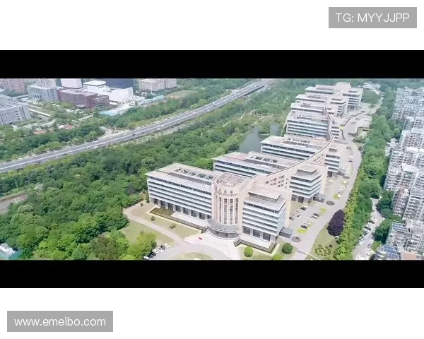 凯发集团k8：全面解析其发展历程与行业地位