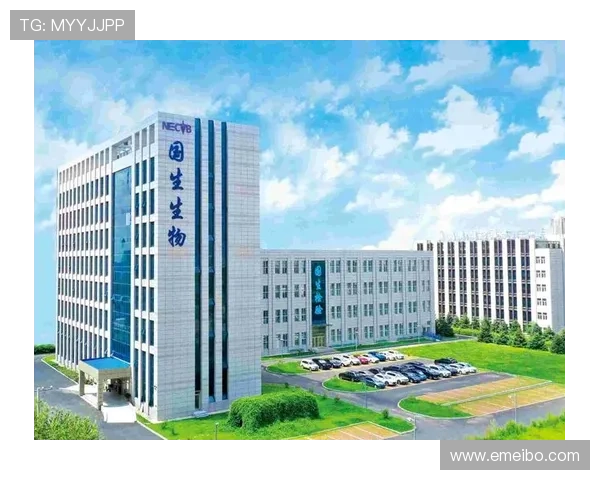 凯发国际中国官方网站：最新安全保障措施与用户保障方案