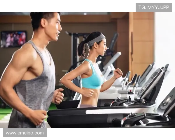 利用K8体育网站进行体育数据分析的实用方法与技巧分享